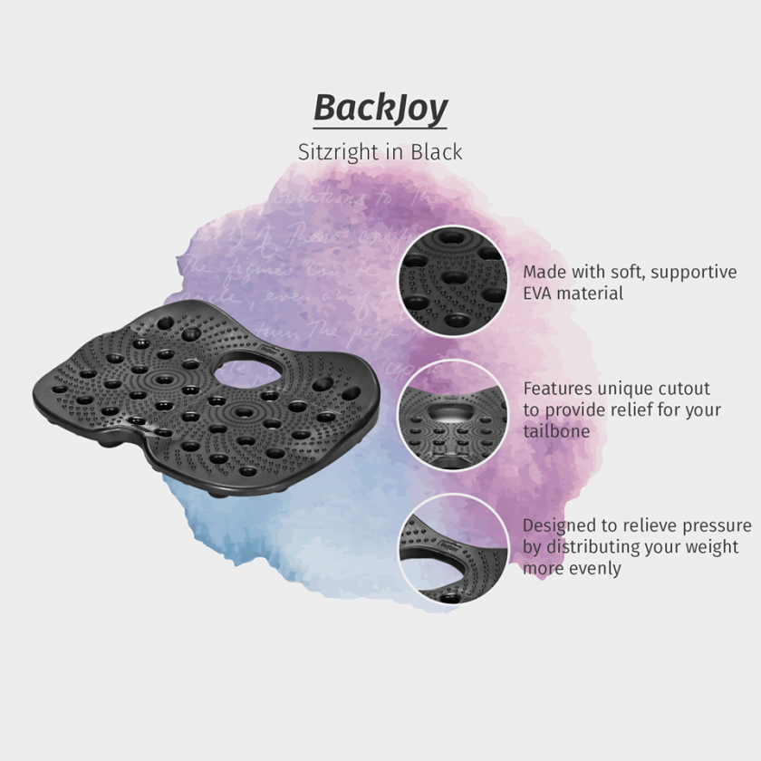 Backjoy sitzright best sale seat cushion